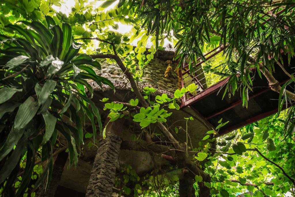 Dao Anh Khanh Tree House Hanói Exterior foto
