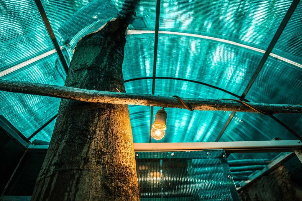 Dao Anh Khanh Tree House Hanói Exterior foto