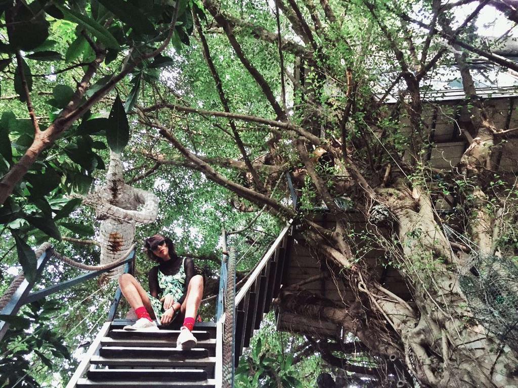 Dao Anh Khanh Tree House Hanói Exterior foto